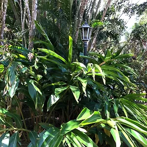 Le Carbet Chez Piment Cafe , Deshaies Guadeloupe